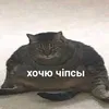 krigoveuy