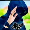 hasham6517