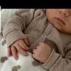 shahdgomaa482