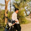 ayon_301