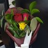 aminaboulahia31
