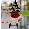 amani.tgil