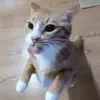 sarabusak