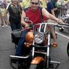 dqquilicoduron