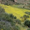 boucifboucif8492