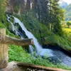bilaltktok1