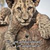 ali_a_66