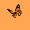 flutterbye2122