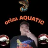 orizaaquatic890_id