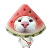 pussycat1160