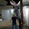 gatorbo