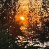 haithu89