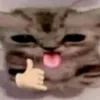 afkqkeiix