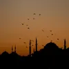 itsmertcan