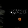 saifsaad2599