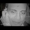 adel1973badr369