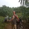 abbasmalindo