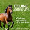 equineequestrain0