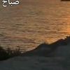 amal1e4