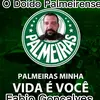 fabiopalmeiras42