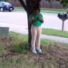 teresaanderson527