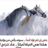 قاسم🐎🐎