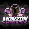 repuestosmonzon