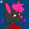 kilothegayfox