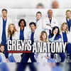 Greys anatomy