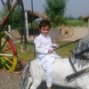 arfan.r236