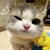 vytuong_7