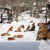 __quanghuy2