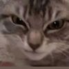 user0183917_1