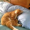 dailywee7