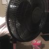 lauryncortez285