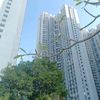 pessek_2906