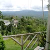 amlyfzy22