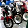trongtan666888