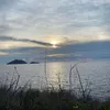 tranhuynh9490