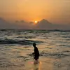 shenalminusha