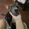 boshaaang