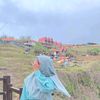 dfhaaaa