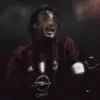 pyypss_rrrr