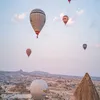 avivasp