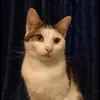 katemcn88