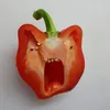 kuckkukukupmhn
