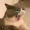 koanh192