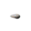ngek_crp