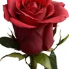 user1934685131371