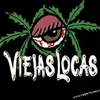 violxdts